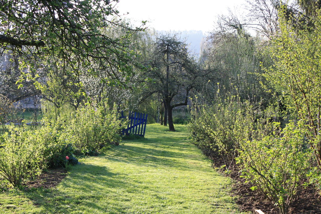 Bed and Breakfast La Barbotine Septmonts Экстерьер фото